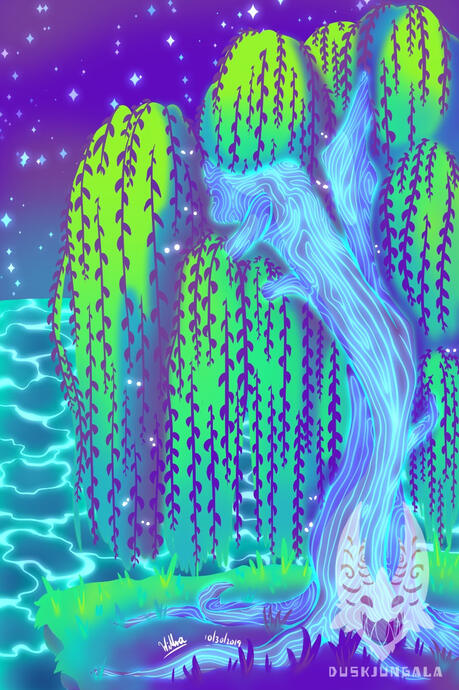 Willow at Night